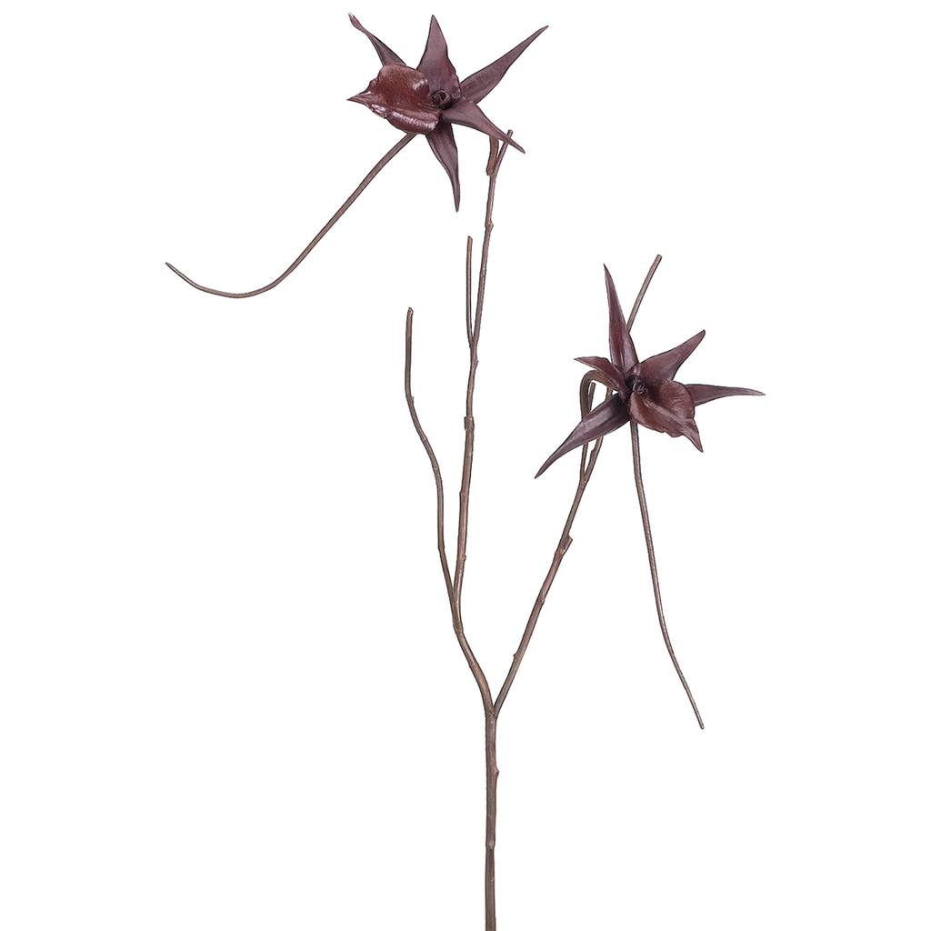 D205852S_1.jpg img
